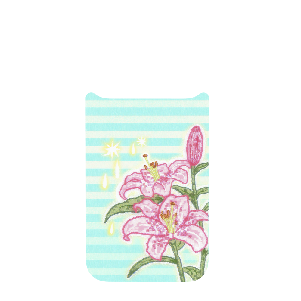 Sugar Meadow Interchangeable iPhone Case