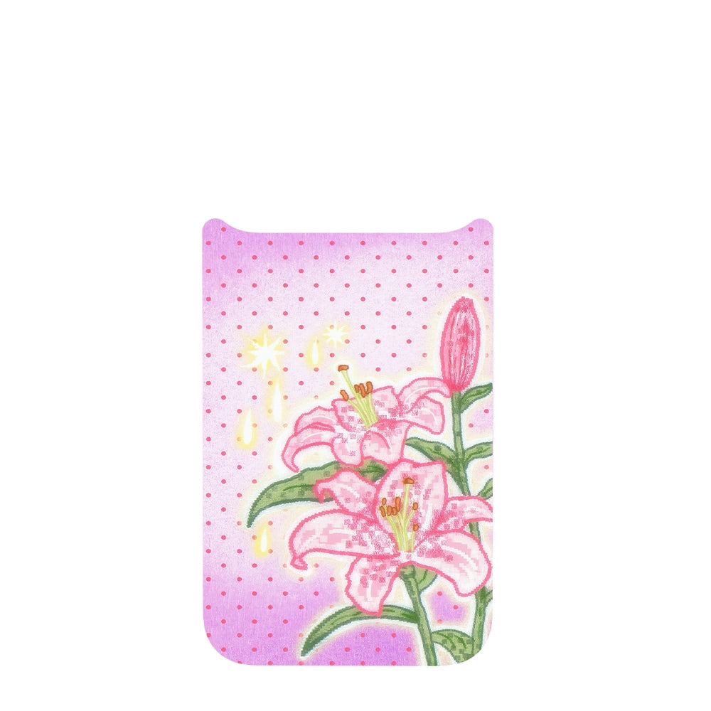 Sugar Meadow Interchangeable iPhone Case